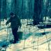 Sap collecting